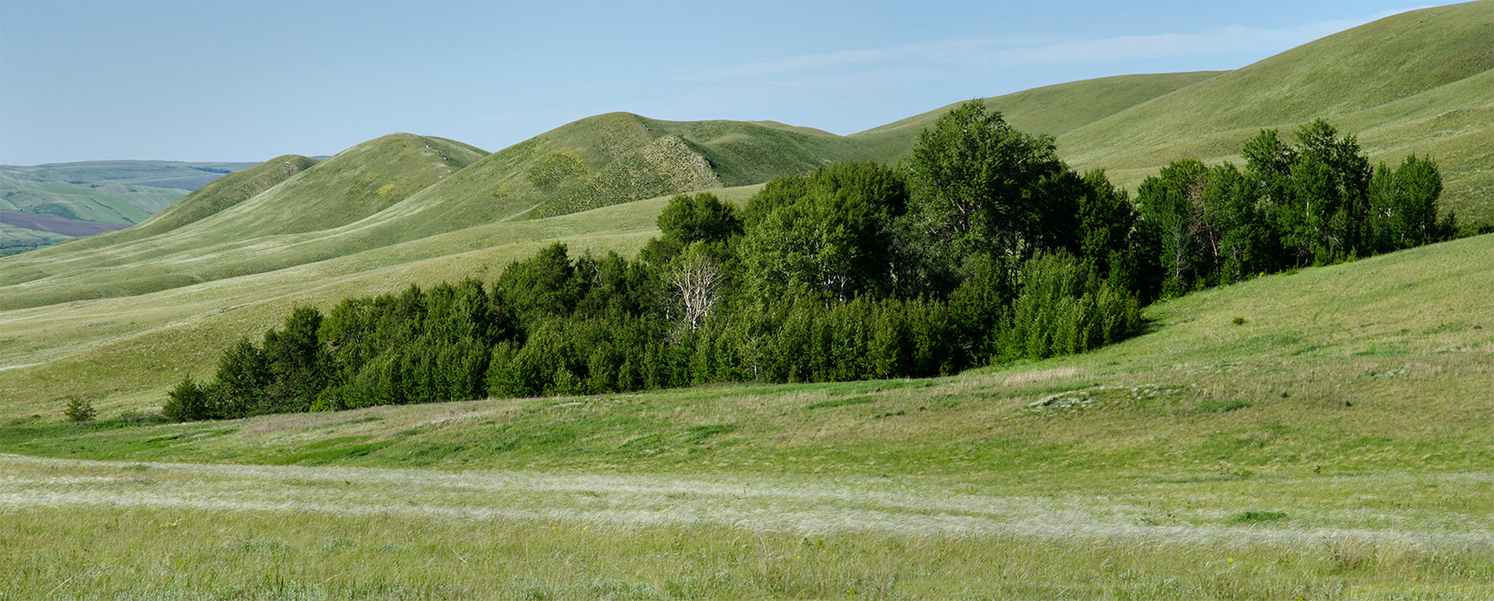 Ногайские горы, image of landscape/habitat.