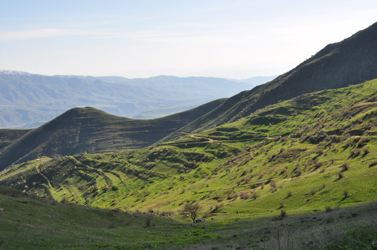 Спитакавор, image of landscape/habitat.