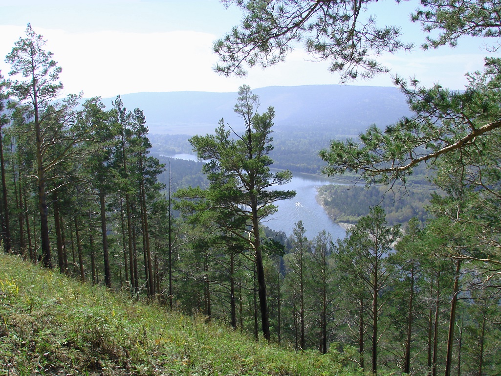 Введенщина, image of landscape/habitat.