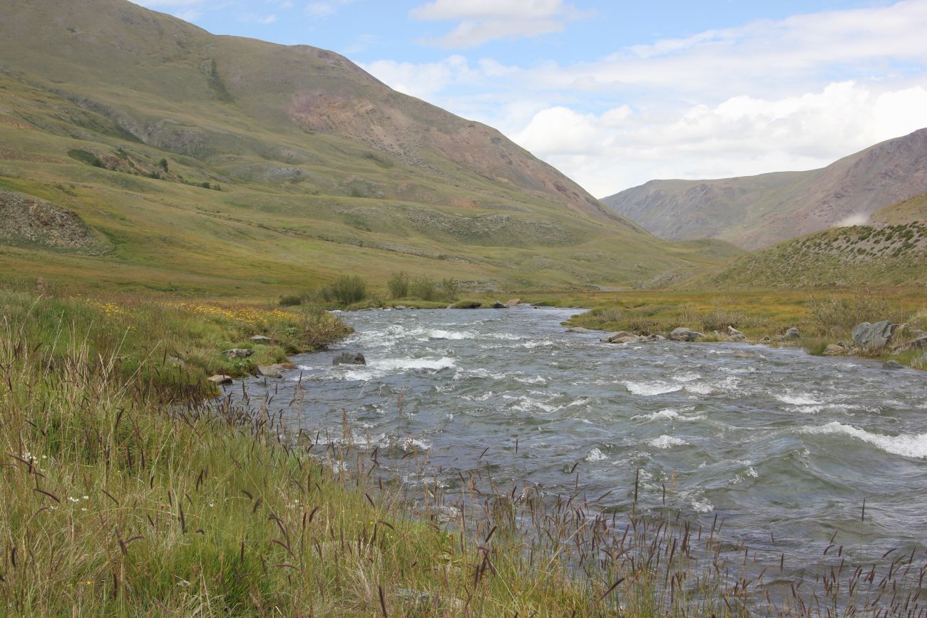 Долина р. Тархата, image of landscape/habitat.