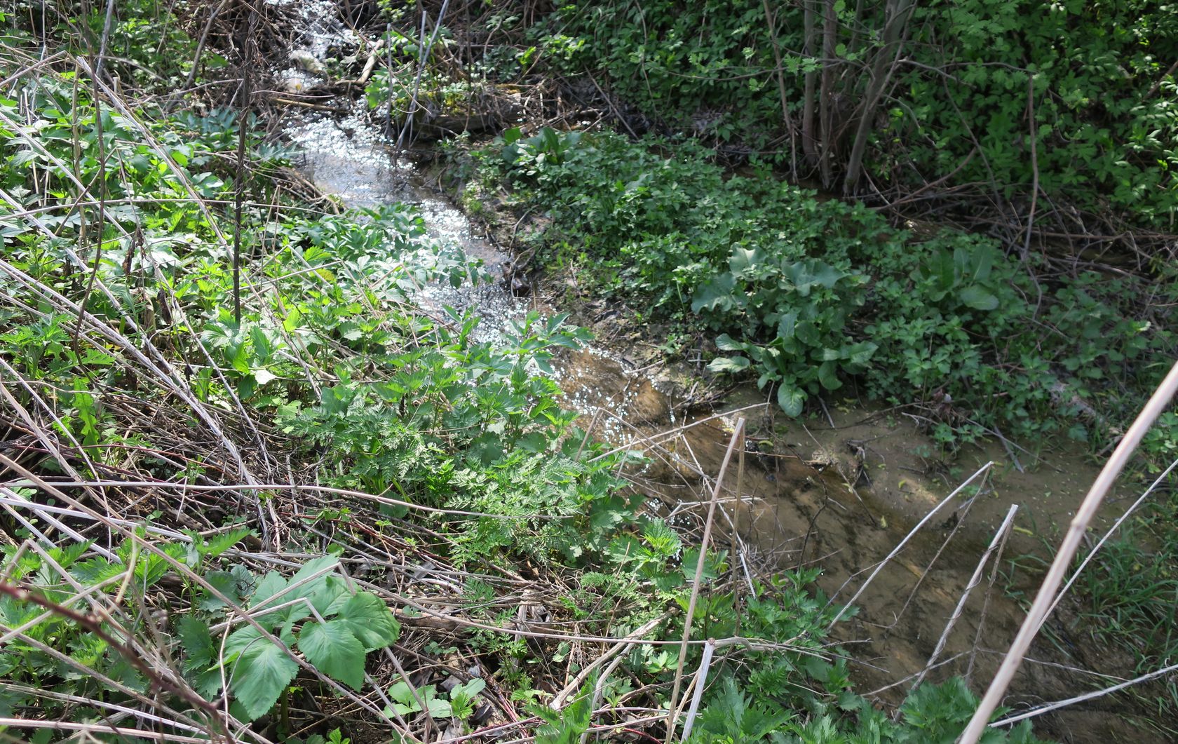 Вечери, image of landscape/habitat.