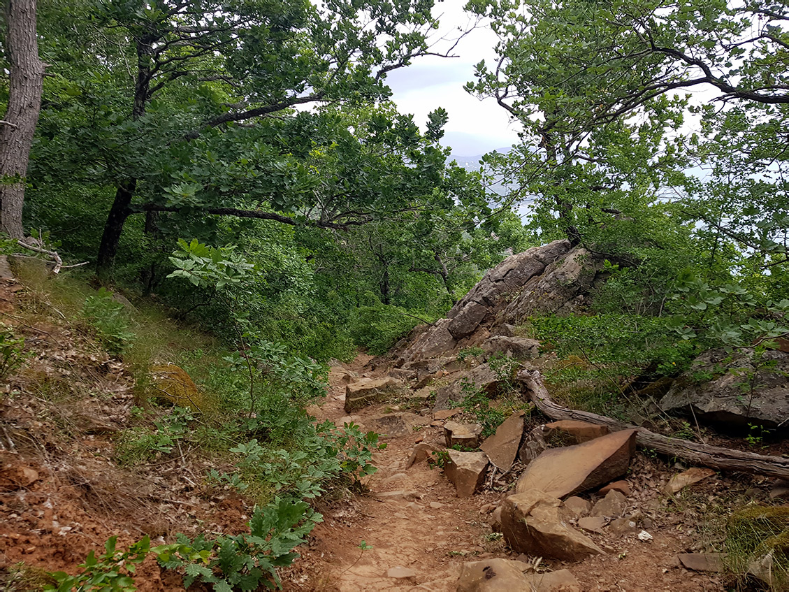 Аюдаг, image of landscape/habitat.