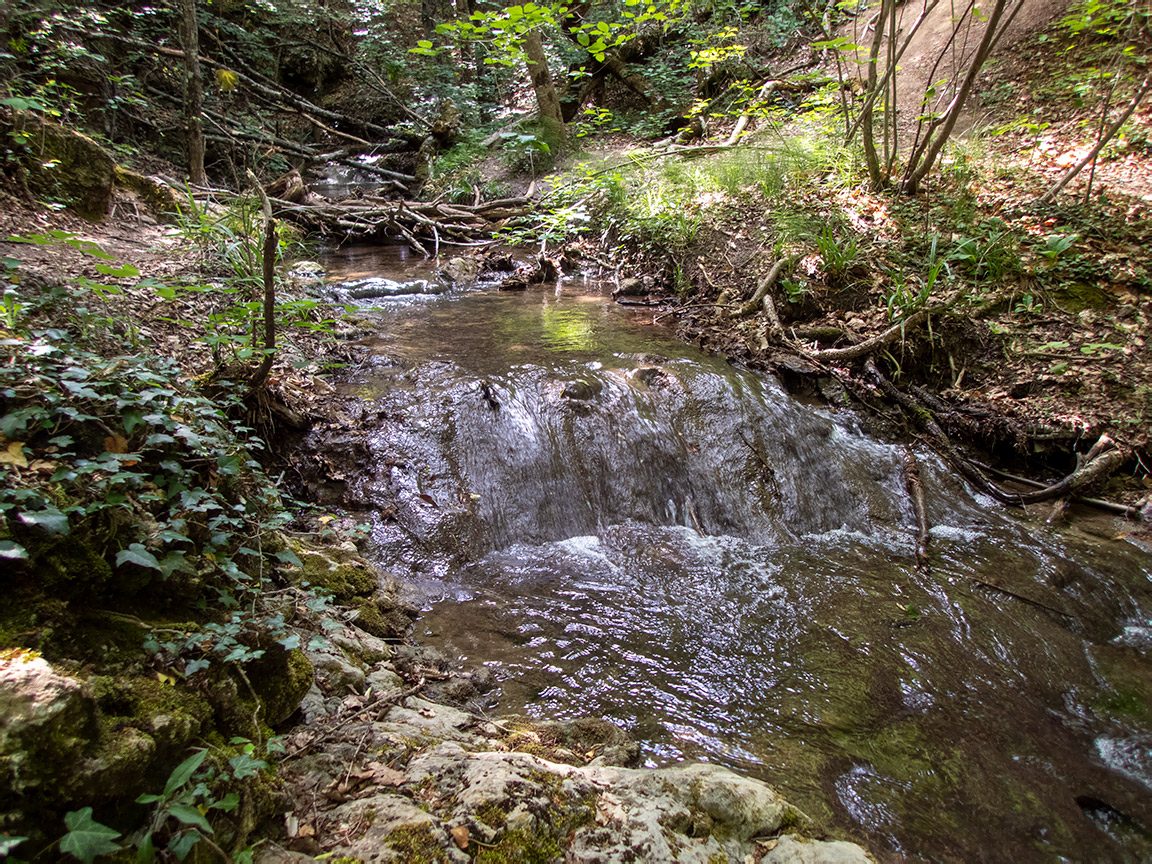 Долина реки Сотера, image of landscape/habitat.