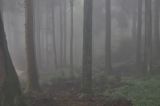 Image of landscape