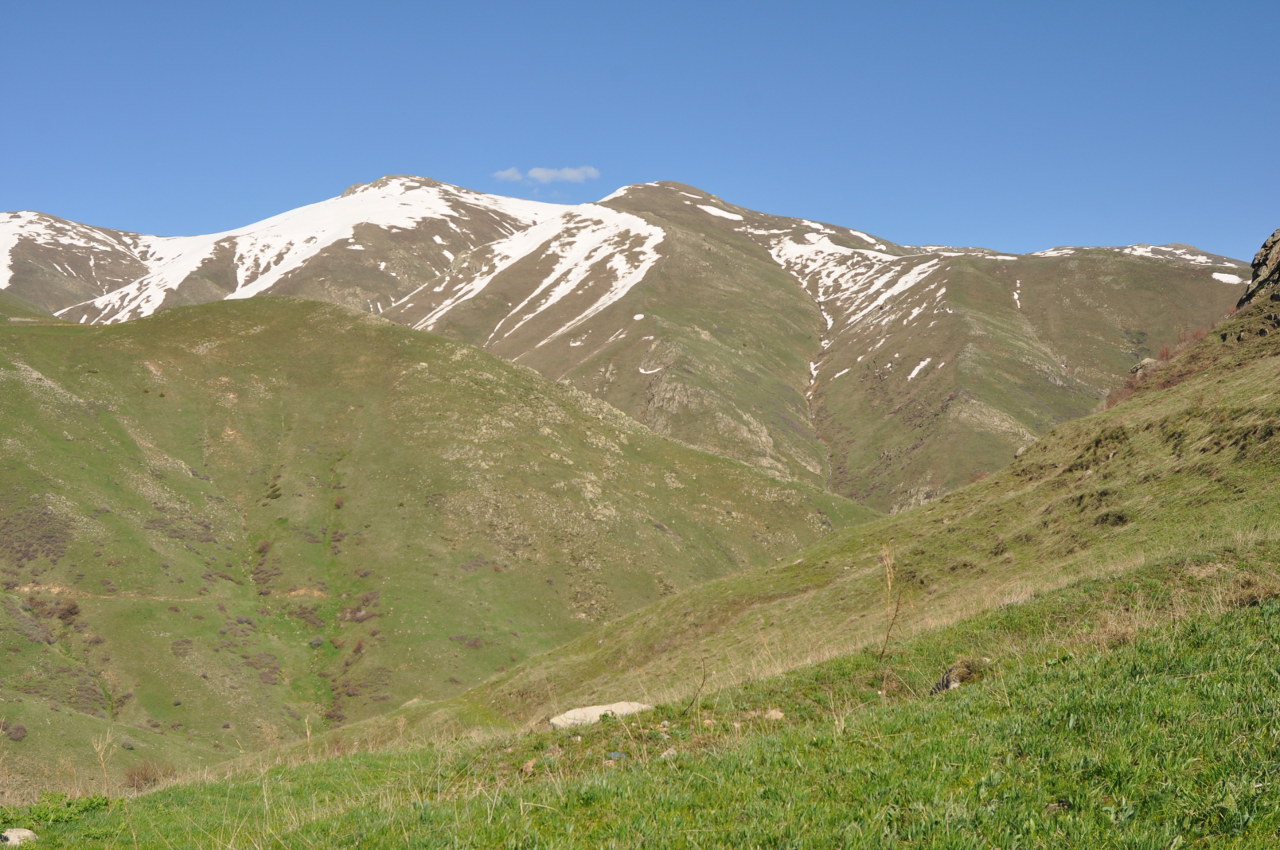 Спитакавор, image of landscape/habitat.