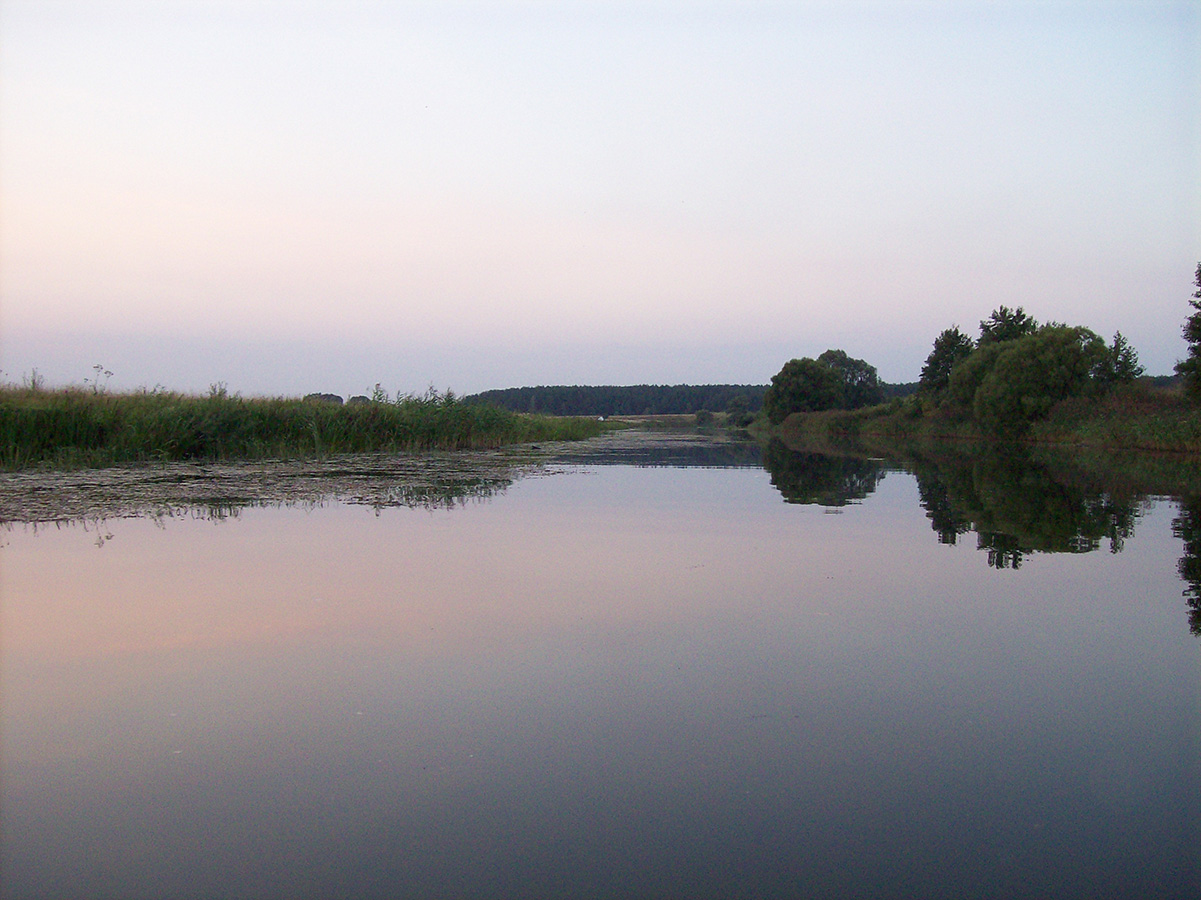 Нижнее течение реки Усожи 2, image of landscape/habitat.