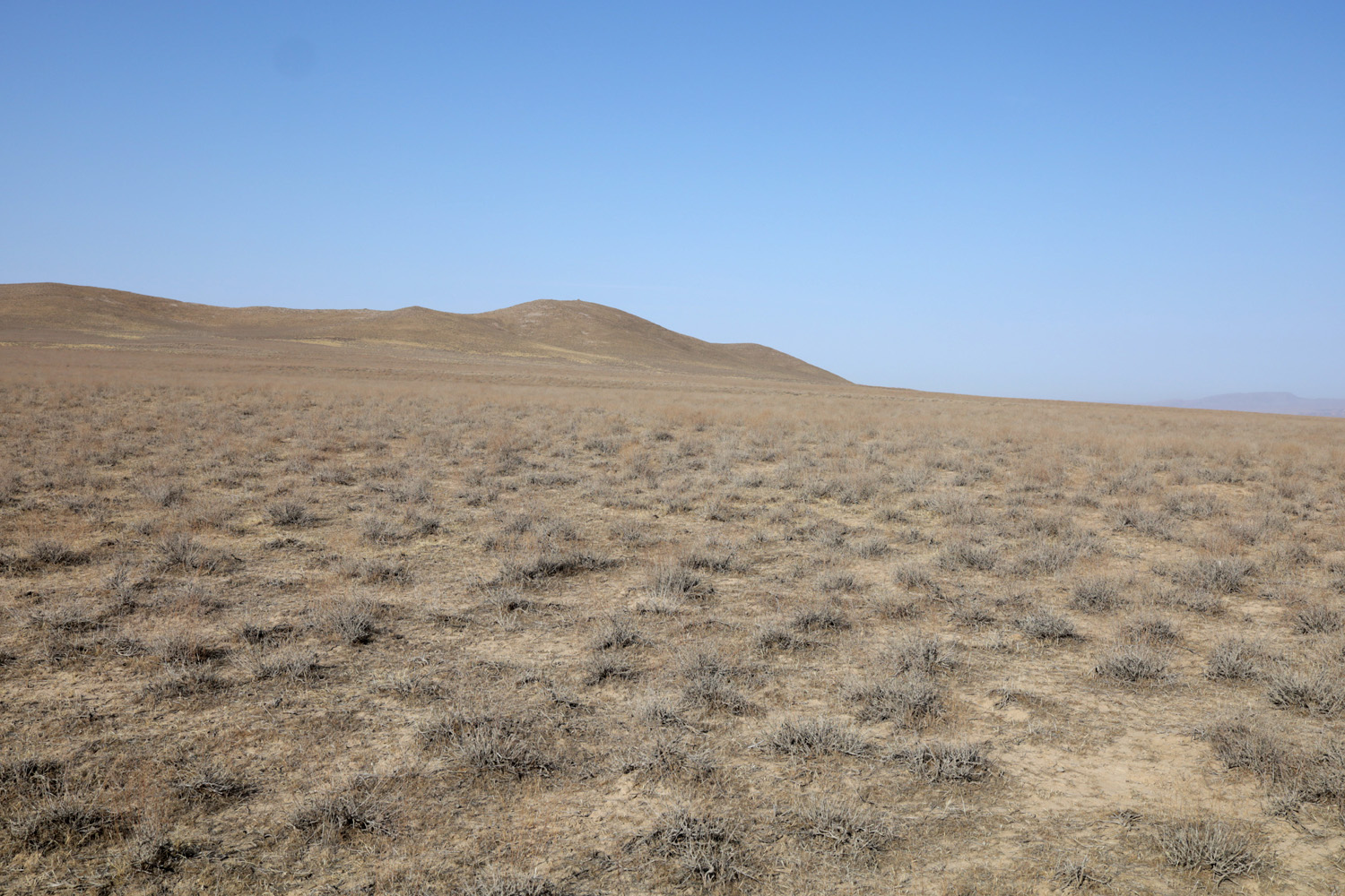 Казахтау, image of landscape/habitat.
