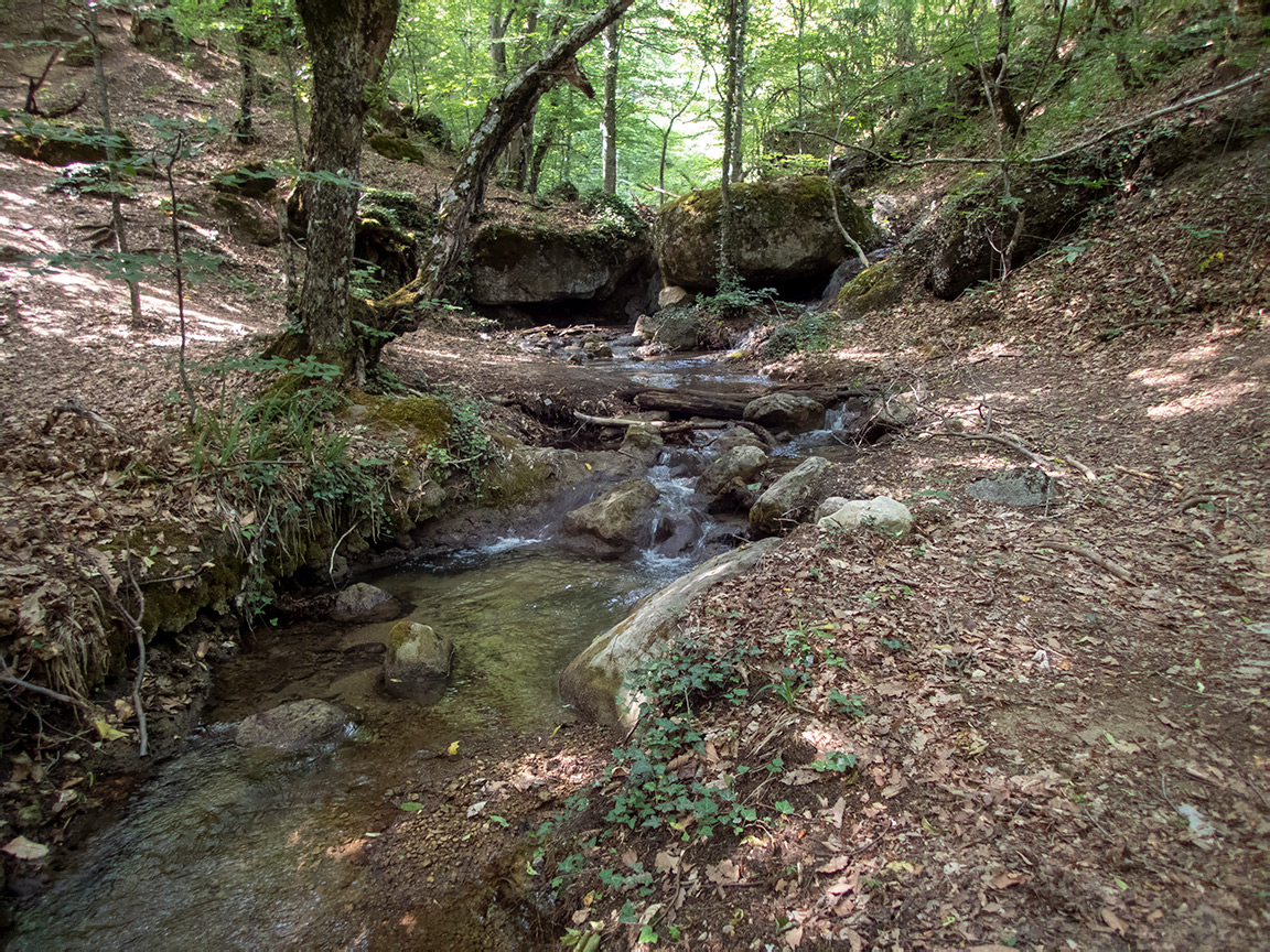 Долина реки Сотера, image of landscape/habitat.