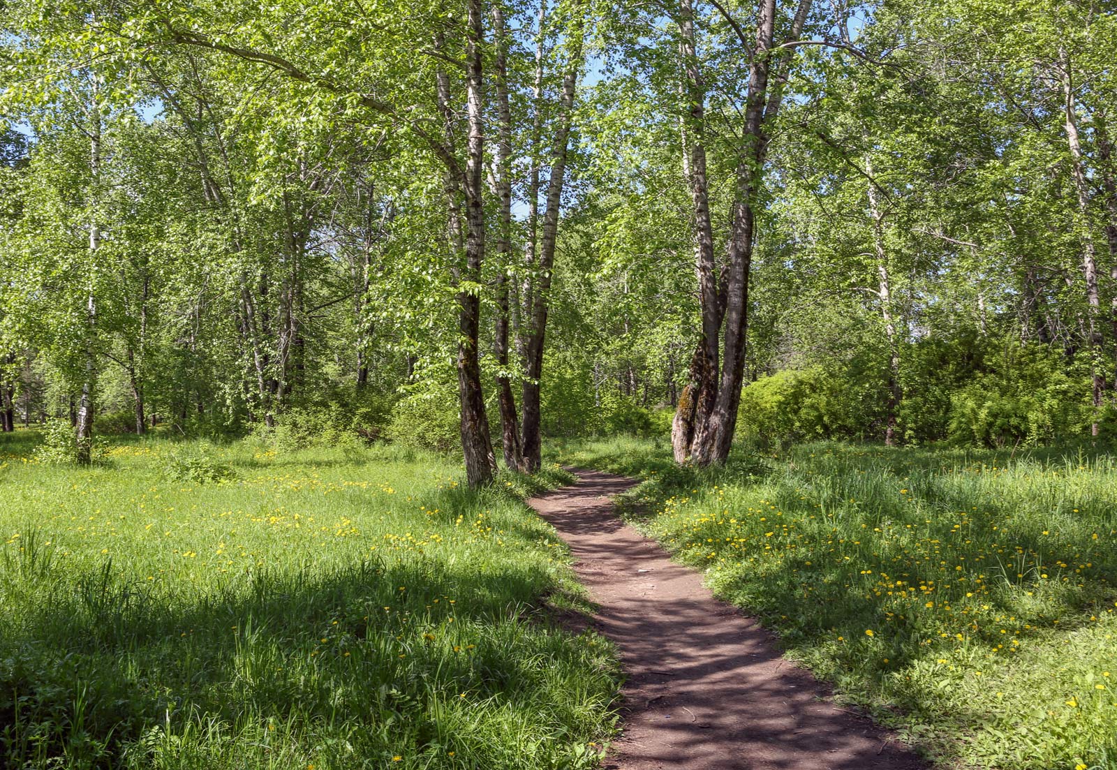 Закамск, image of landscape/habitat.