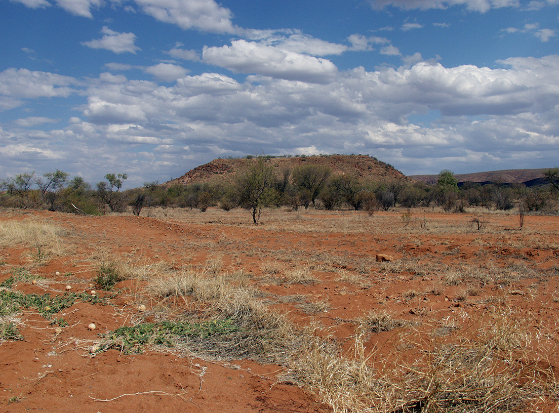 Alice Springs и окрестности, изображение ландшафта.