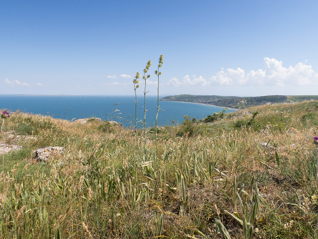 Мыс Бакланичный, image of landscape/habitat.