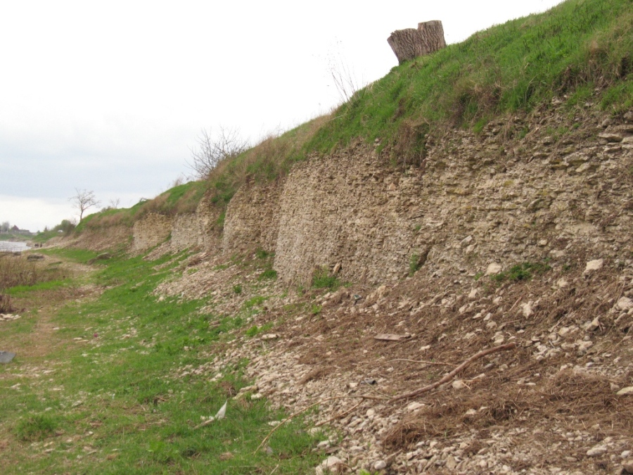 Выбуты, image of landscape/habitat.