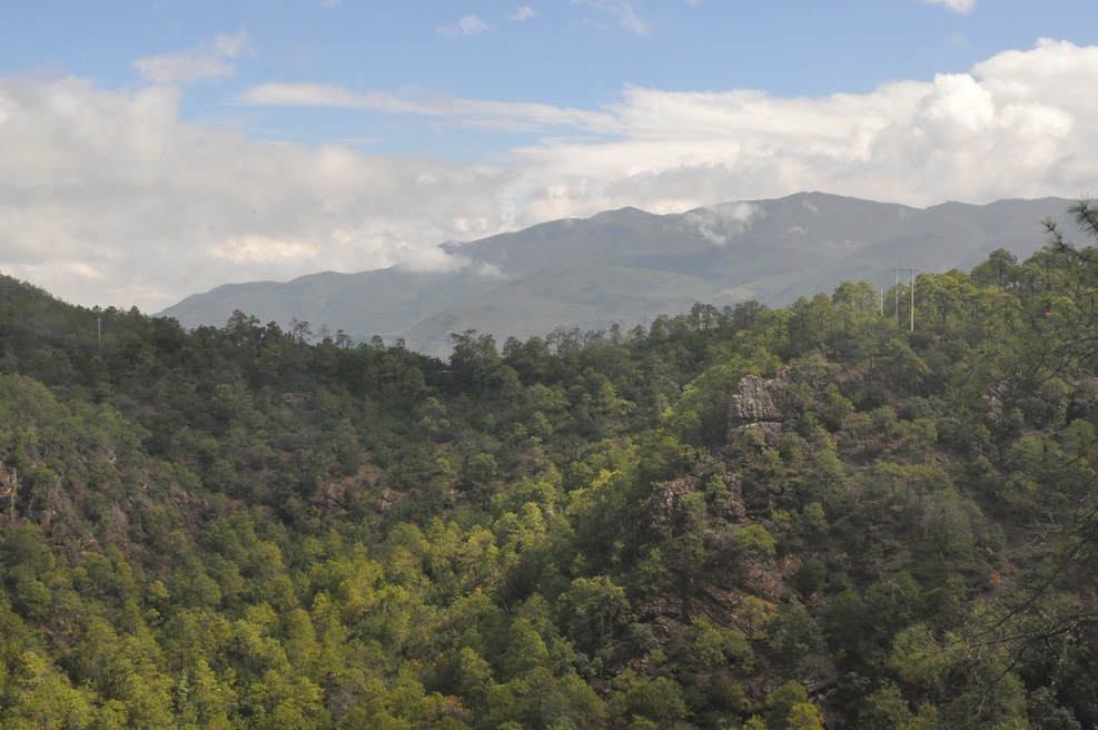 Окрестности храма Шицзхон, image of landscape/habitat.