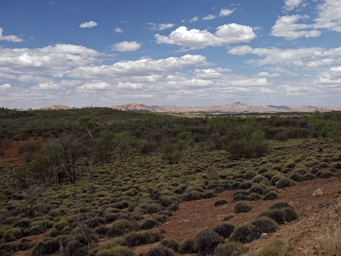 Alice Springs и окрестности, image of landscape/habitat.