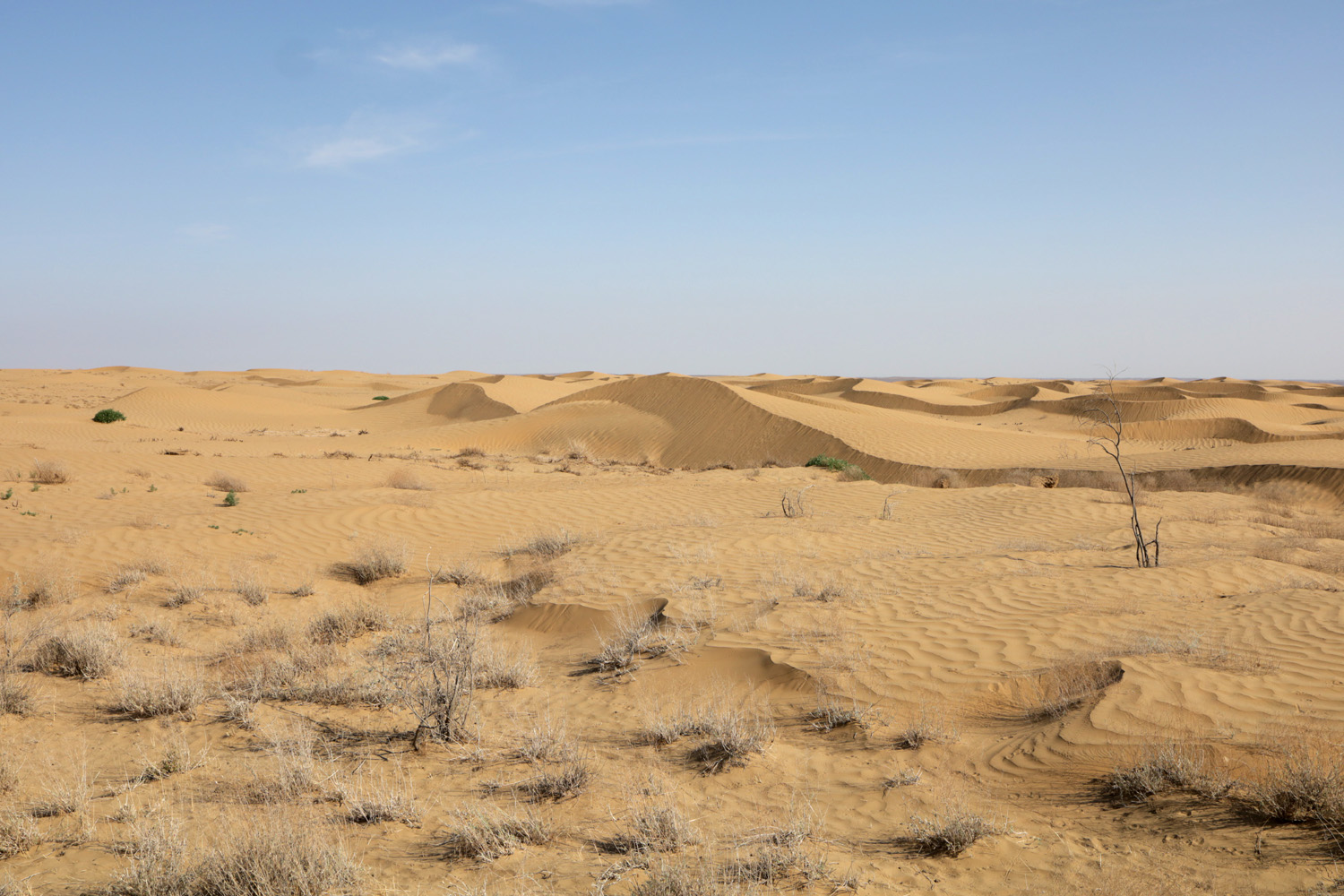 Казахтау, image of landscape/habitat.