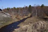 Омулёвый, image of landscape/habitat.