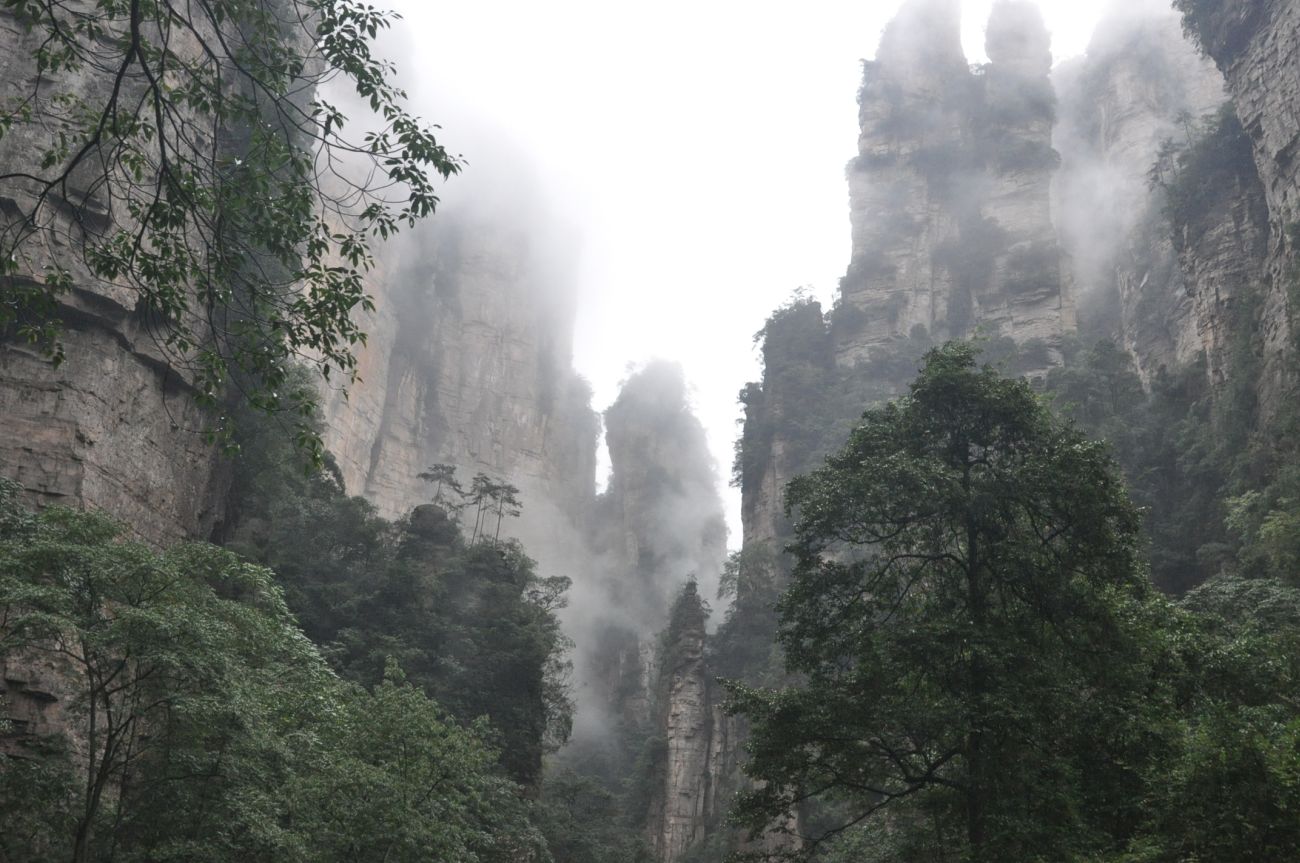 Долина ручья Золотой Кнут, image of landscape/habitat.