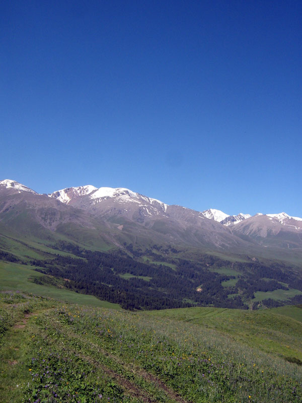 Чинтургеньское ущелье, image of landscape/habitat.