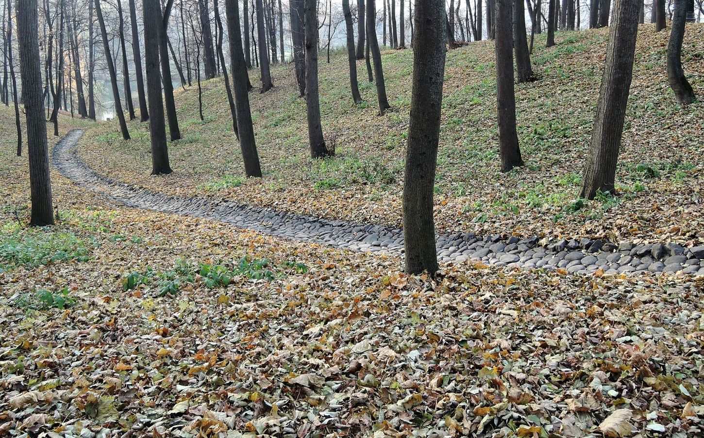 Царицыно, image of landscape/habitat.