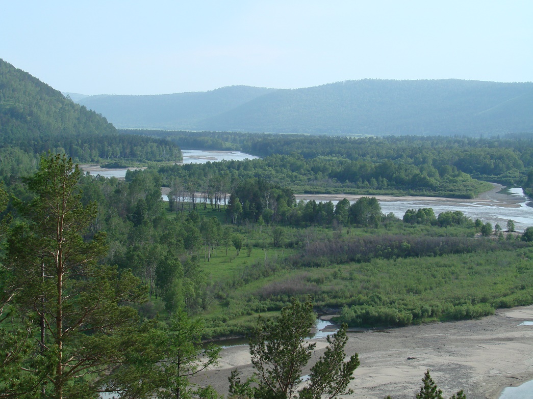 Введенщина, image of landscape/habitat.