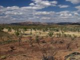 Alice Springs и окрестности, image of landscape/habitat.