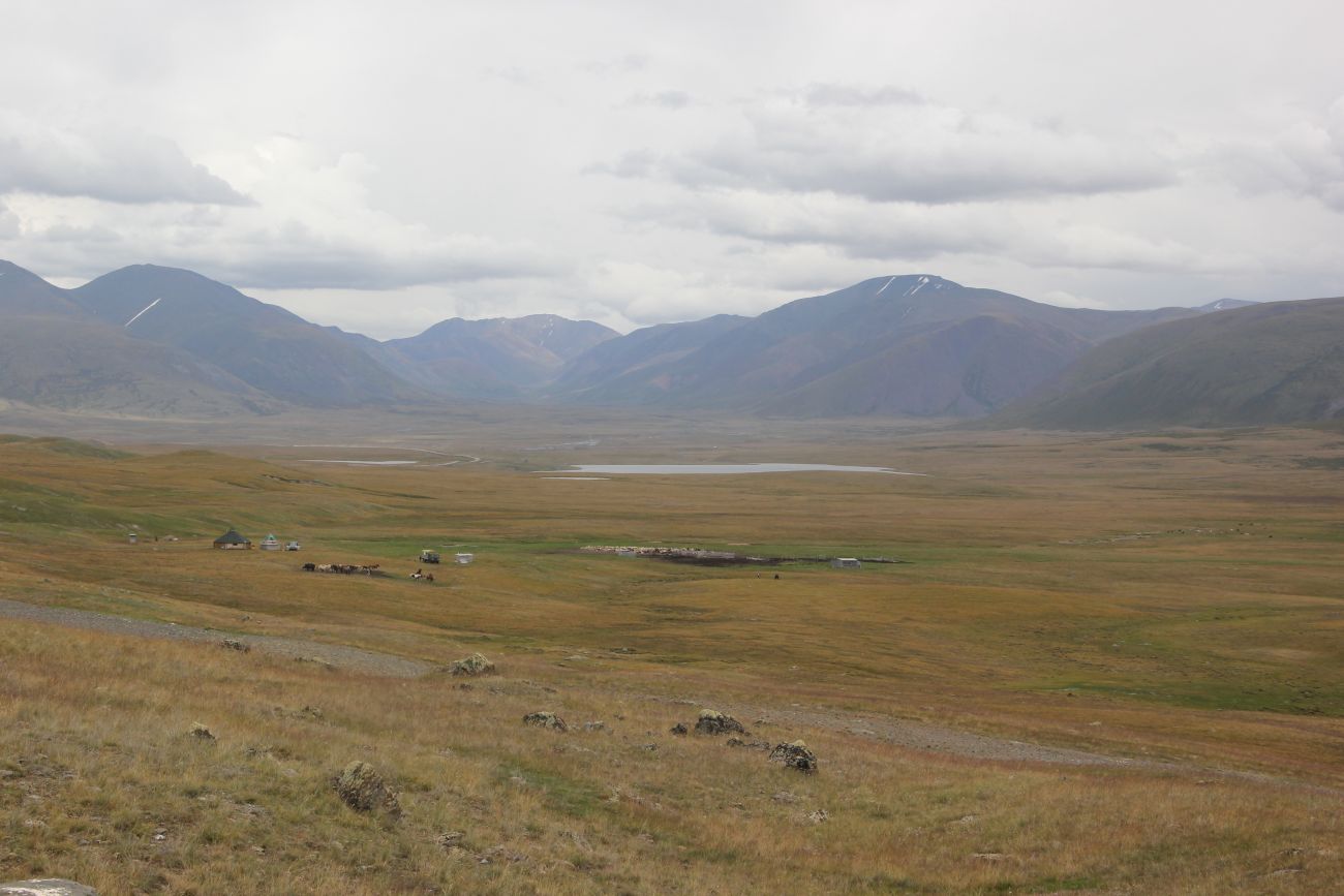 Окрестности озера Зерлюколь-Нур, image of landscape/habitat.