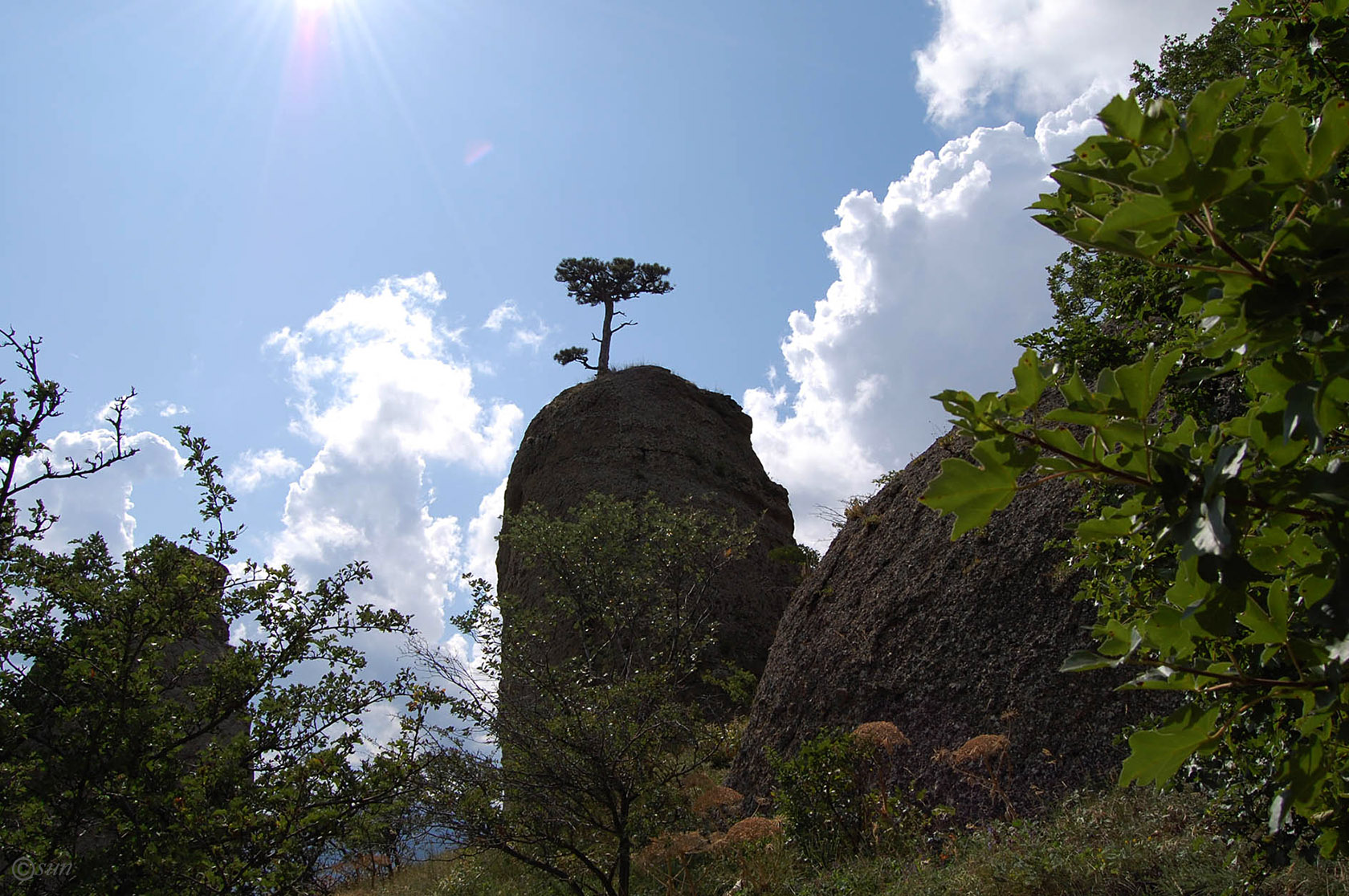 Южная Демерджи, image of landscape/habitat.