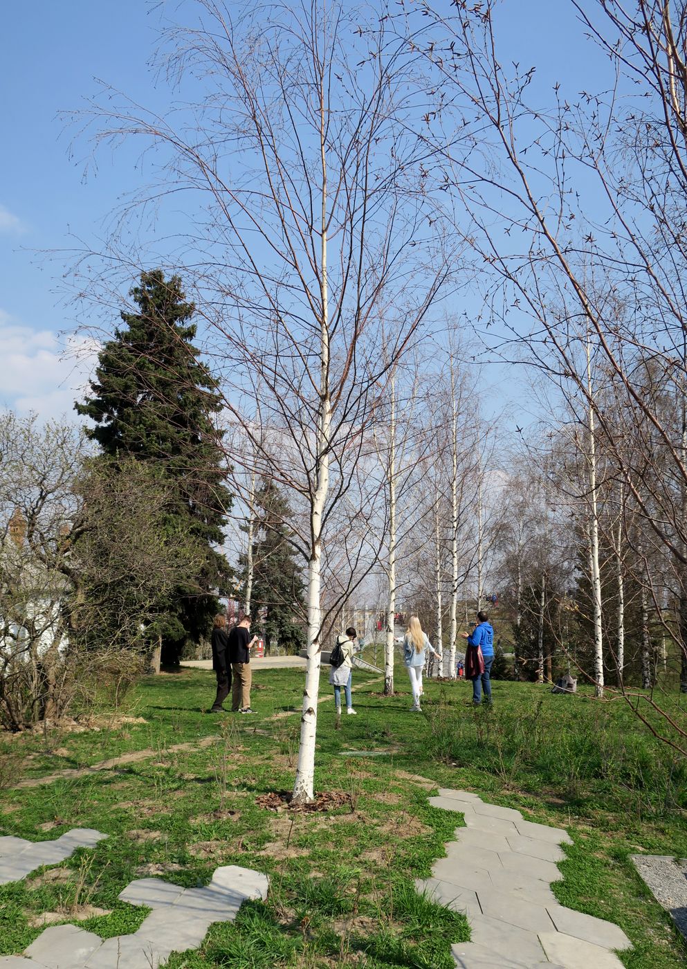 Парк Зарядье, image of landscape/habitat.