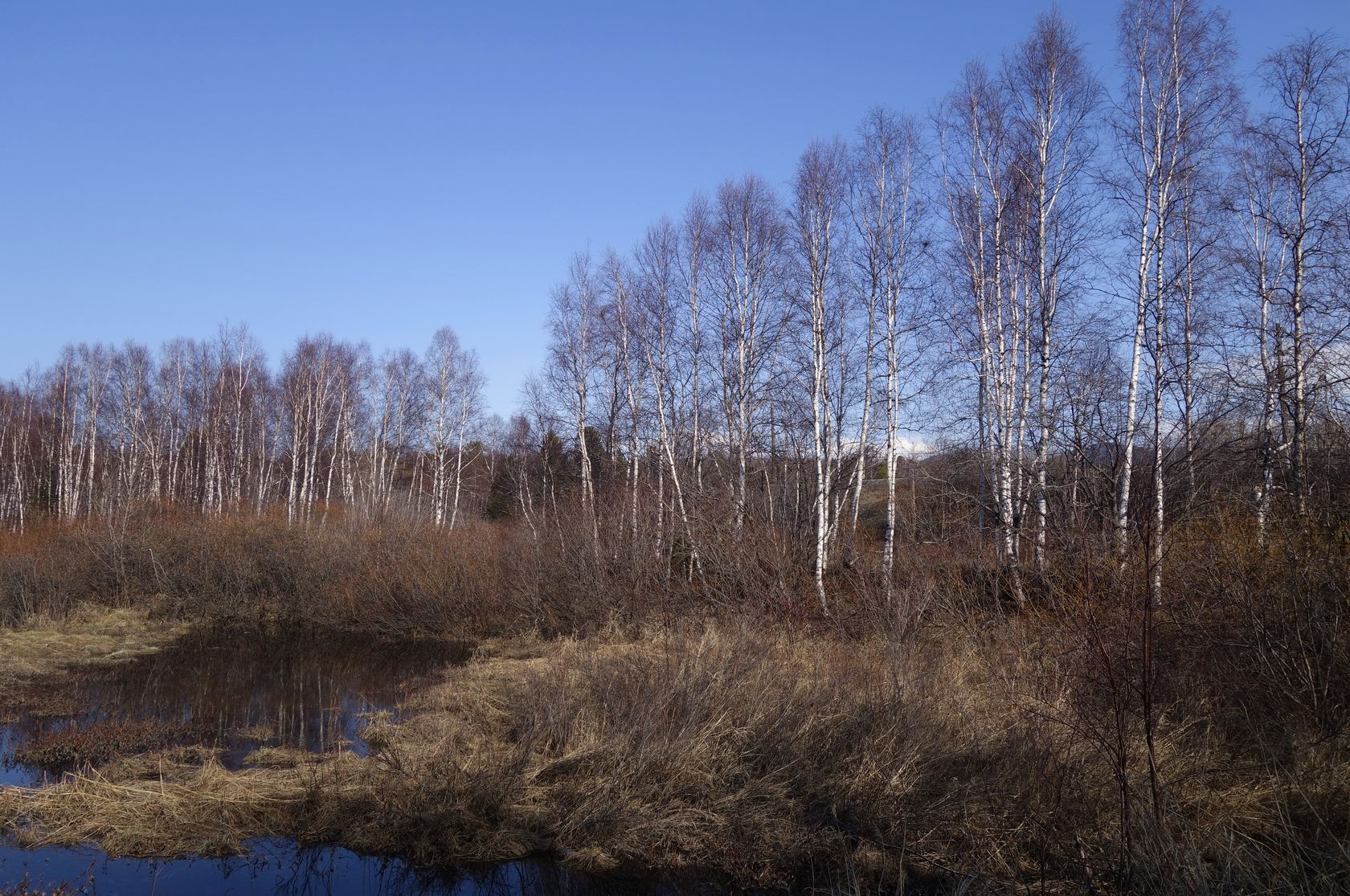 Омулёвый, image of landscape/habitat.