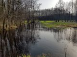 Национальный парк "Нарочанский", image of landscape/habitat.