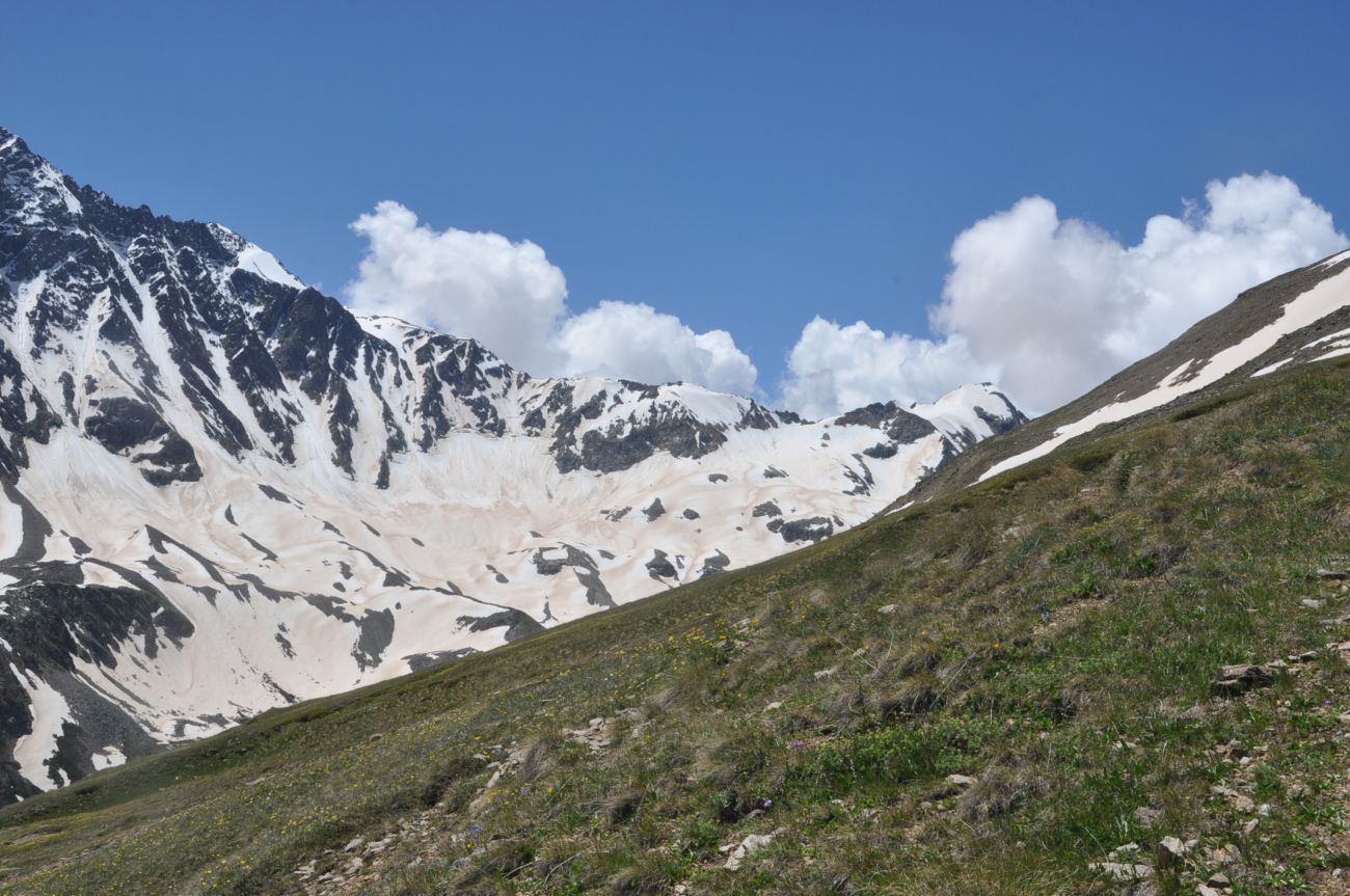 Кафе «Ай», image of landscape/habitat.