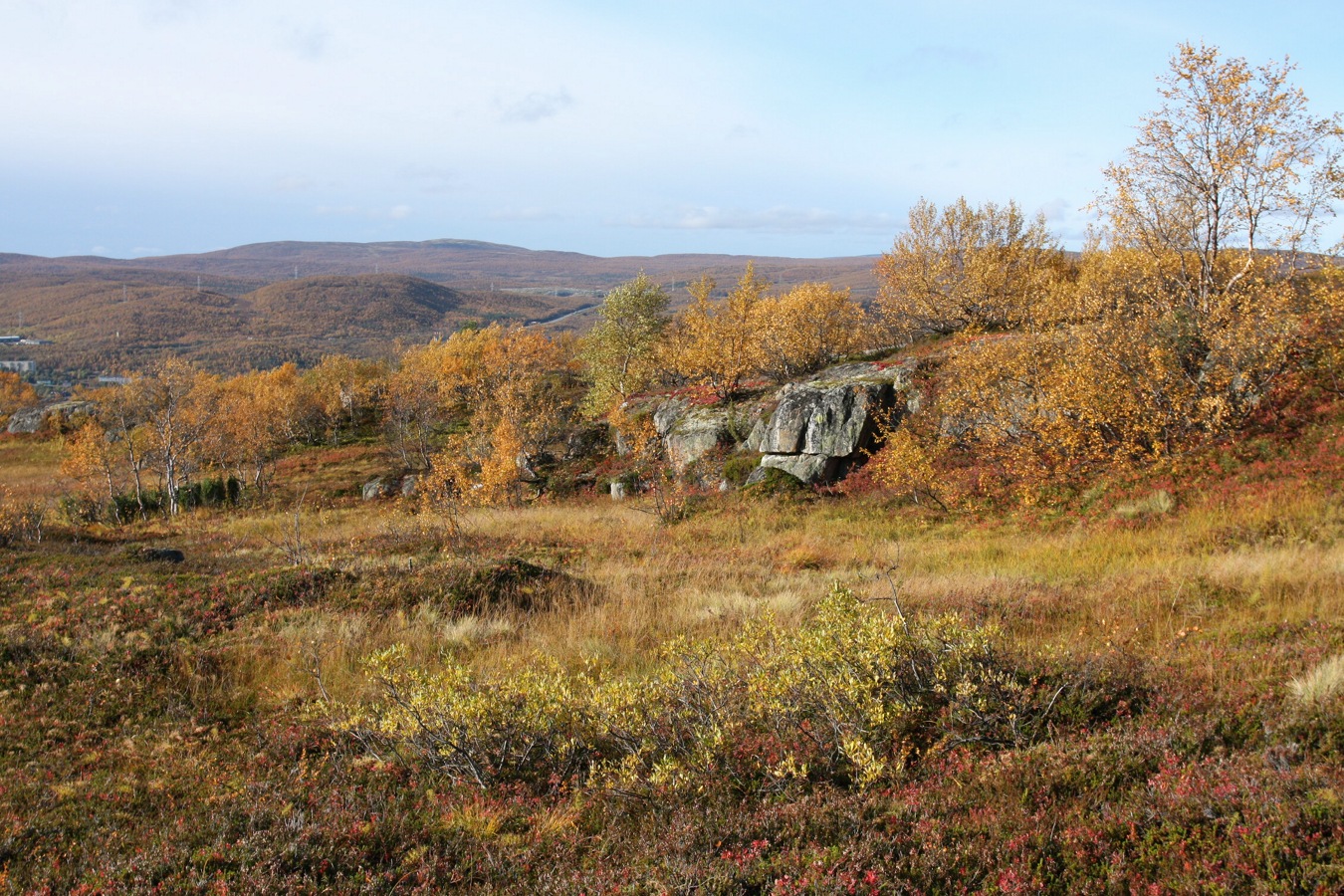 Горелая сопка, image of landscape/habitat.