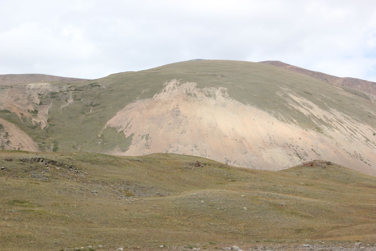 Окрестности озера Зерлюколь-Нур, image of landscape/habitat.