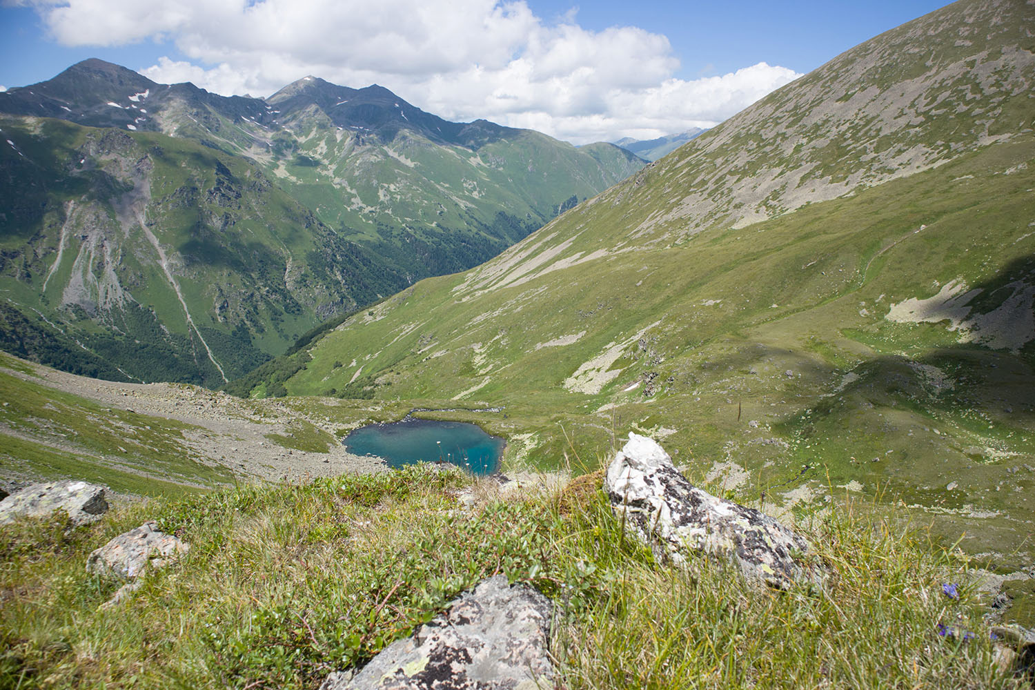 Проточное, image of landscape/habitat.