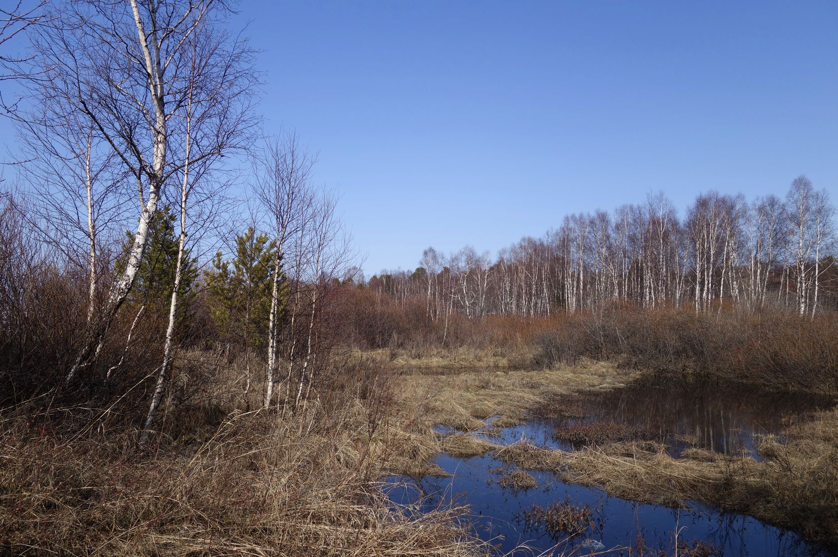 Омулёвый, image of landscape/habitat.