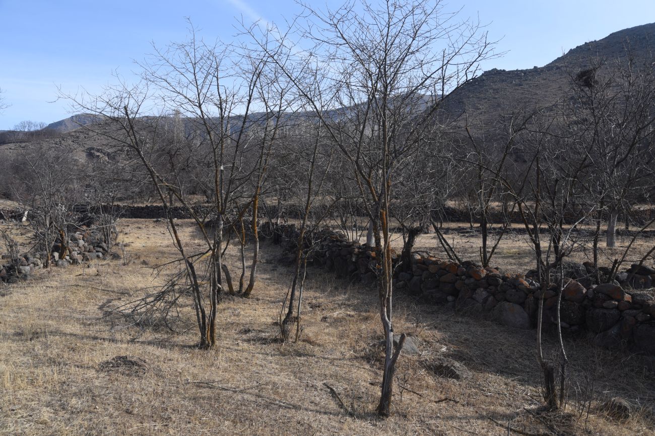 Окрестности села Тмогви, image of landscape/habitat.