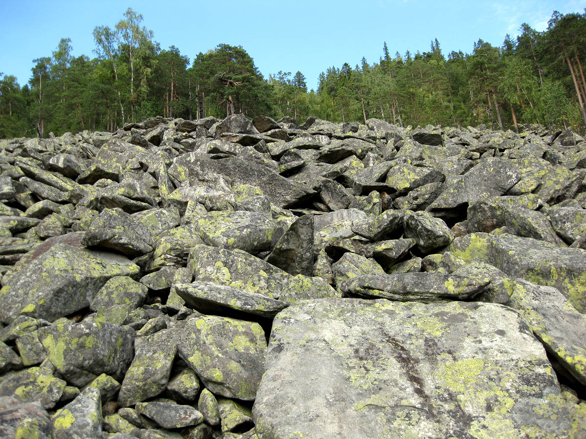 Заповедник "Горганы", Кливки, image of landscape/habitat.