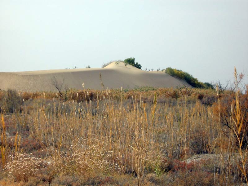 Каракульды, image of landscape/habitat.