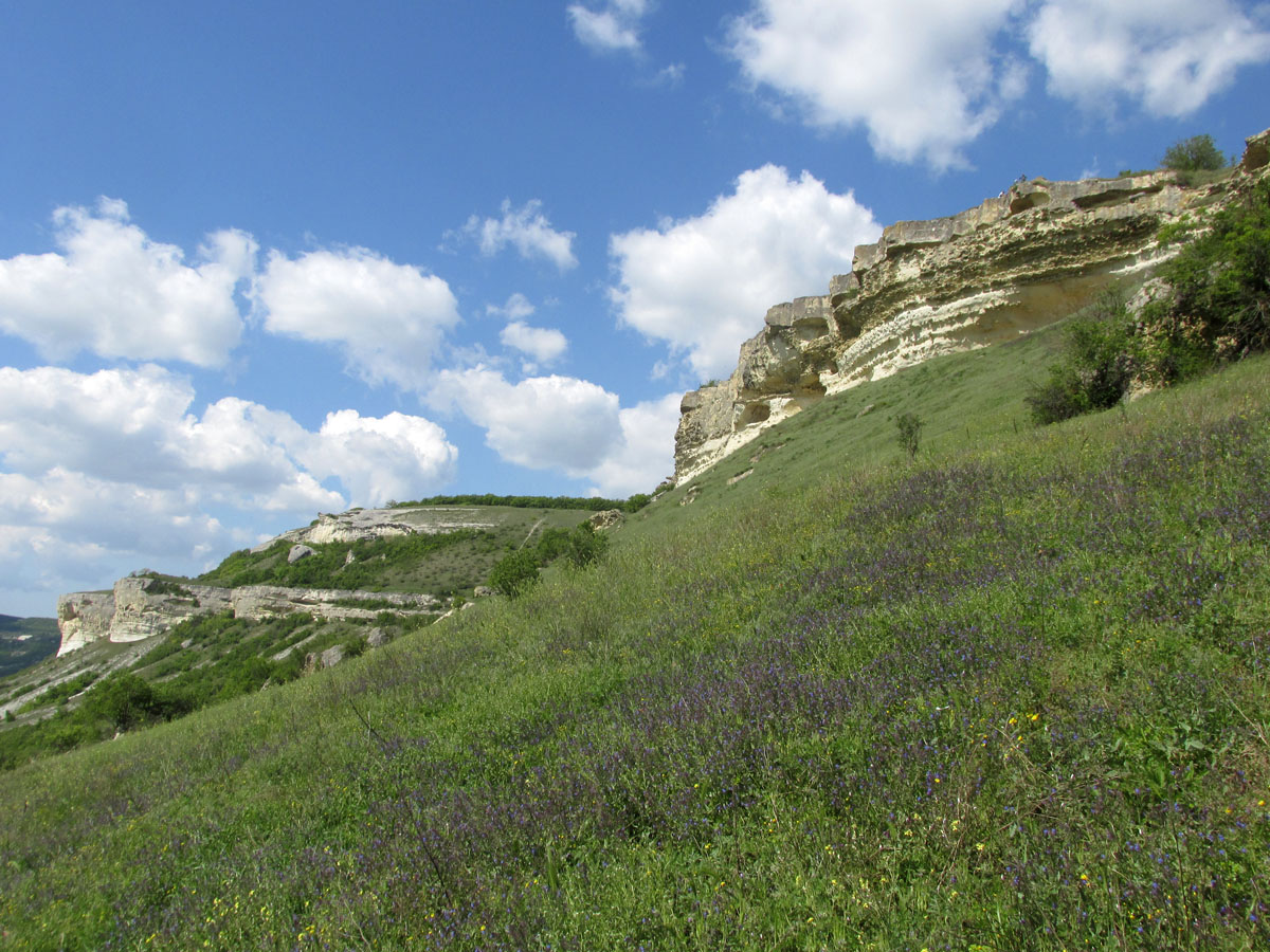 Бакла, image of landscape/habitat.