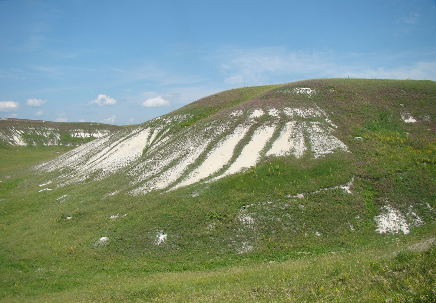 Ермоловка, image of landscape/habitat.