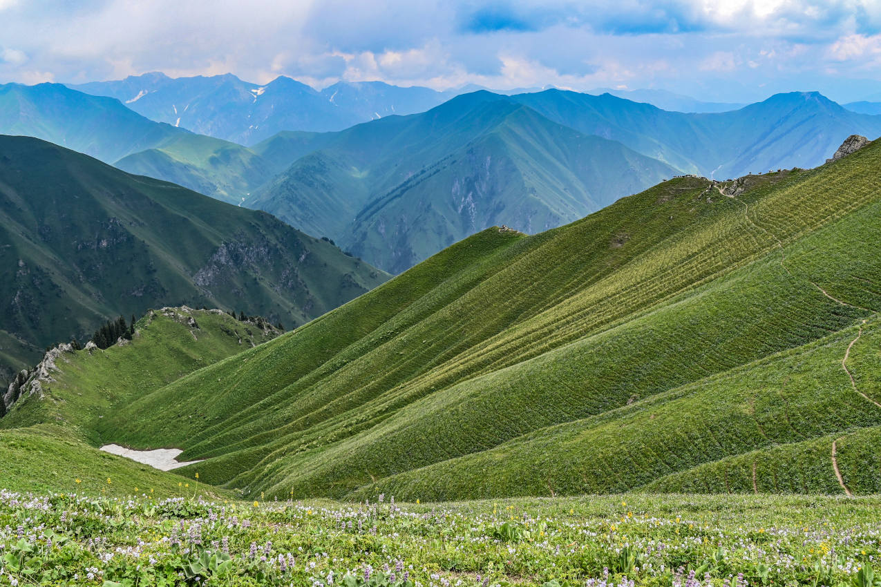 Перевал Кульдамбес, image of landscape/habitat.