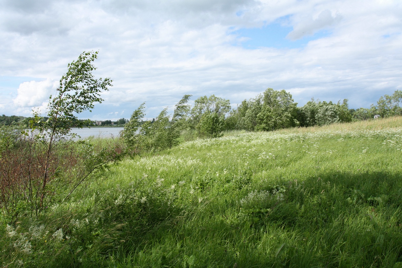 Дудергофское озеро, изображение ландшафта.