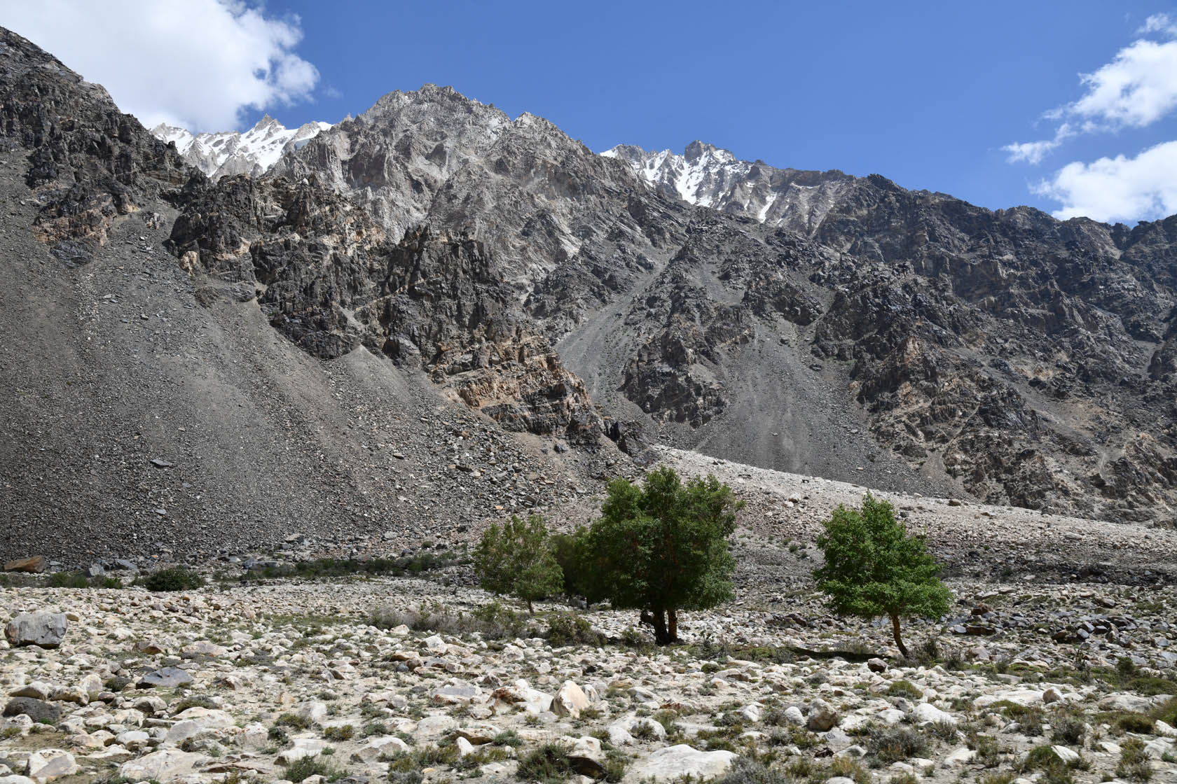 Танымас, image of landscape/habitat.