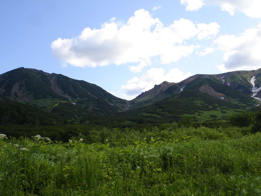 Пиначевский перевал, image of landscape/habitat.