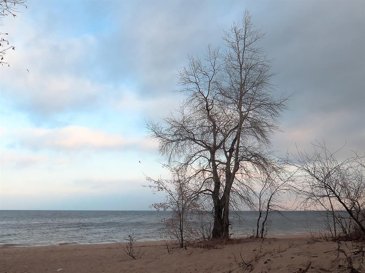 Куйбышевское водохранилище, image of landscape/habitat.