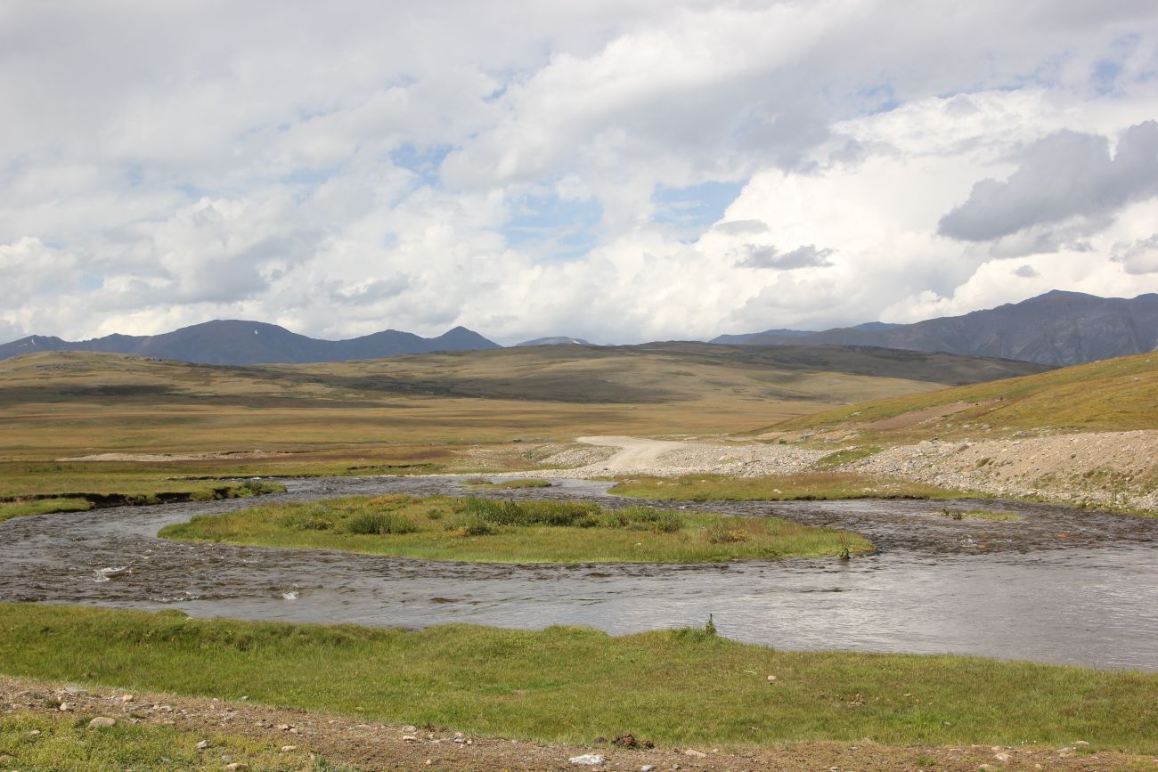 Окрестности озера Зерлюколь-Нур, image of landscape/habitat.