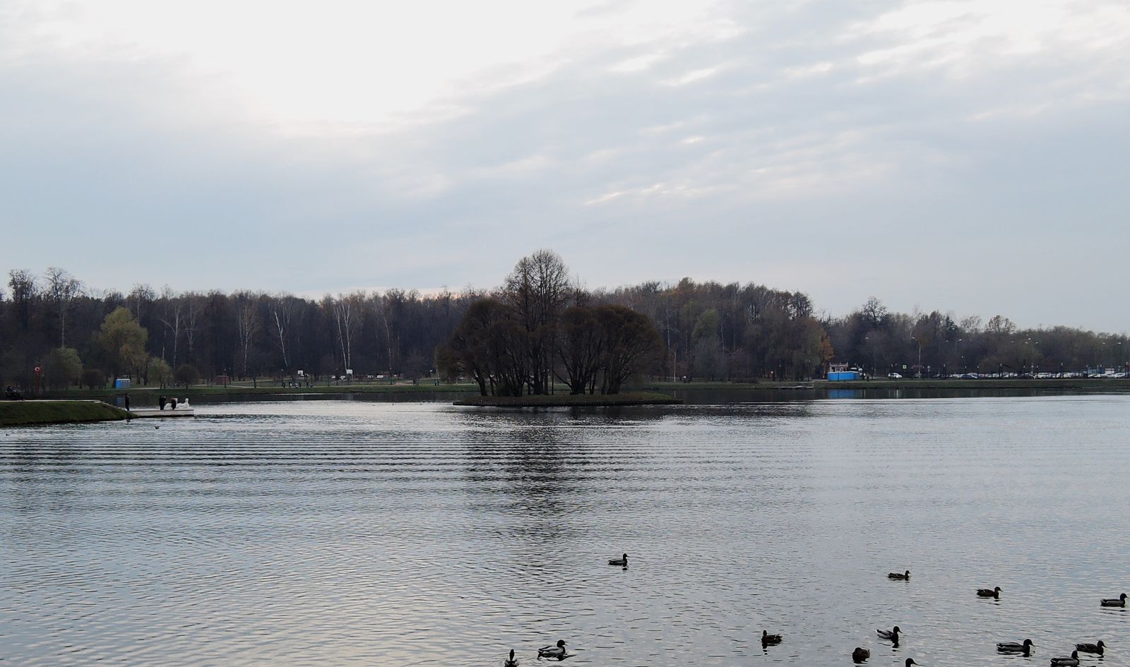 Царицыно, image of landscape/habitat.