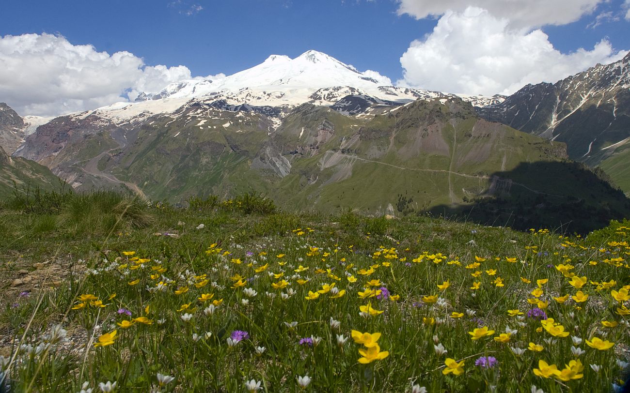 Восточный склон горы Чегет, image of landscape/habitat.