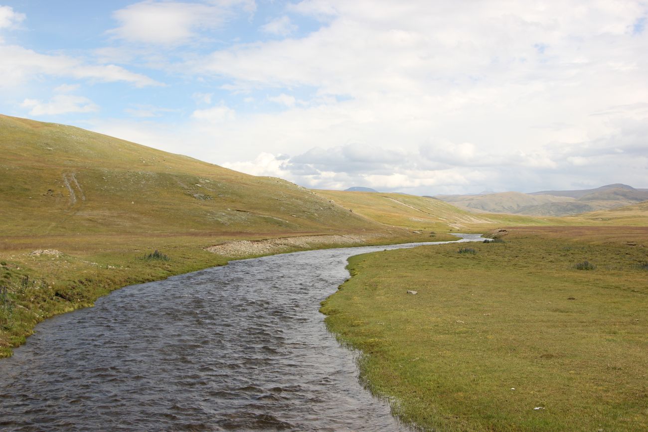 Окрестности озера Зерлюколь-Нур, image of landscape/habitat.