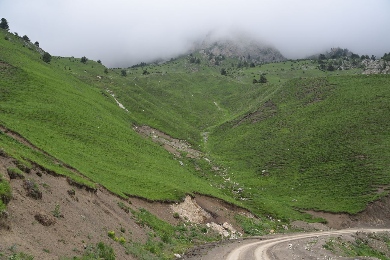 Окрестности урочища Мусиево, image of landscape/habitat.